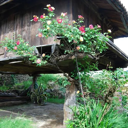 Hotel Cenera فندق Cenera