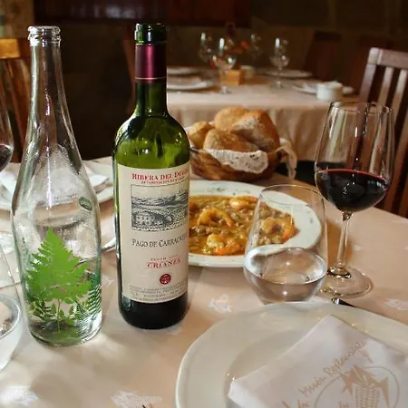 Hotel Cenera فندق Cenera